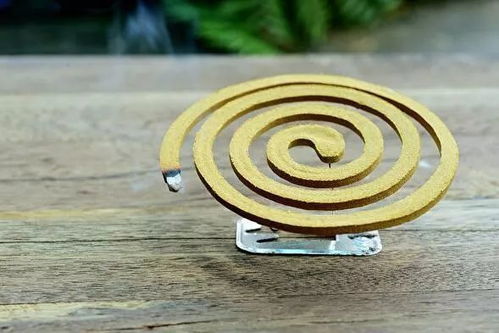 当杀虫剂遇见电蚊拍 校园消防安全警示