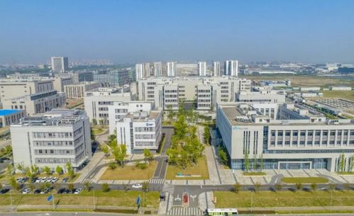 自主研发助力精准医疗 全国首款非小细胞肺癌新药上市背后的宁波力量