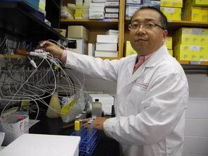 科技赋能，古树新生 姜明国与生物科技让六堡茶焕发青春